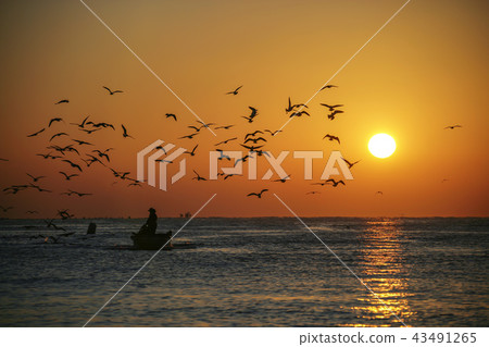 韓國蔚山，明洞港，港城 43491265