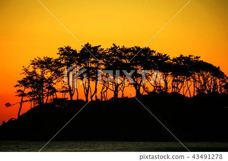 Ulsan, Korea, Ganghang Port, Myeongseon-do 43491278