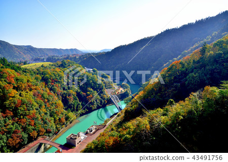 Miyagase Dam dyed in beautiful autumn leaves 43491756