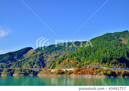 Miyagase Dam dyed in beautiful autumn leaves Miyagase Dam dyed in beautiful autumn leaves 43491757