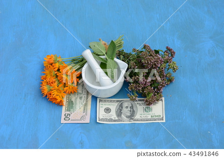 herbal medicine concept - health is money herbal medicine concept - health is money 43491846