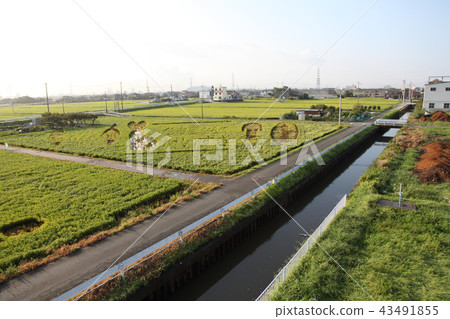 稻田藝術9月 43491855