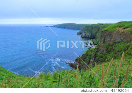 Kiritappu Point Kiritappu Point 43492064