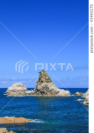 Sasagawa Flow 43493270