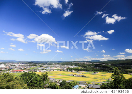 scenery scenery 43493466