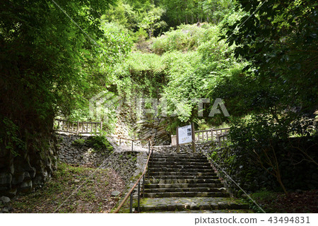 White Tiger Cave Genbudong Park (Toyoka City, Hyogo Prefecture) White Tiger Cave Genbudong Park (Toyoka City, Hyogo Prefecture) 43494831