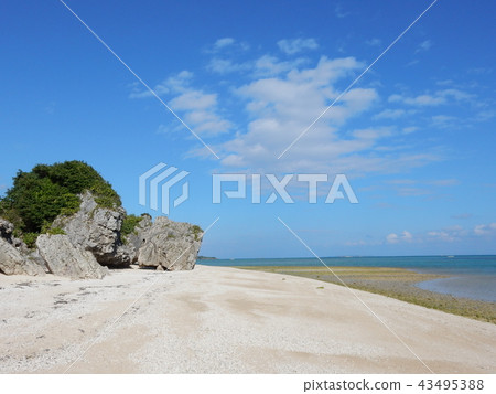 Okinawa Sea 43495388