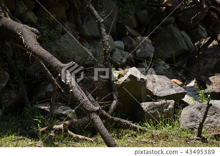 Collapsed stone wall 43495389