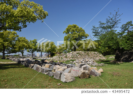 Ishigaki lined up 43495472