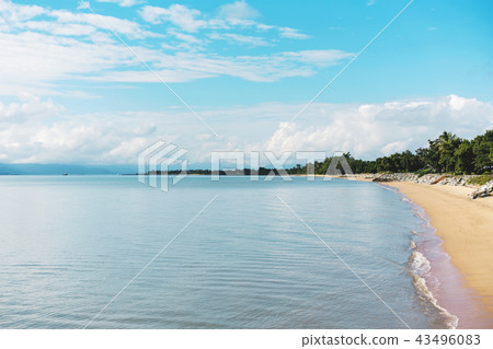 Serene Still Ocean With Trees In The Distance  43496083