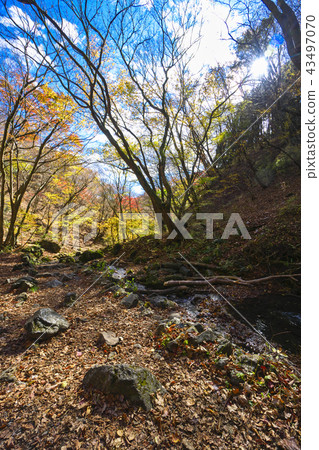 秋葉Mitakeyama假山花園 秋葉Mitakeyama假山花園 43497070