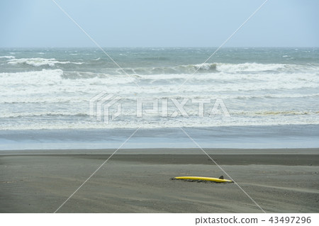 夏天海和衝浪板 43497296