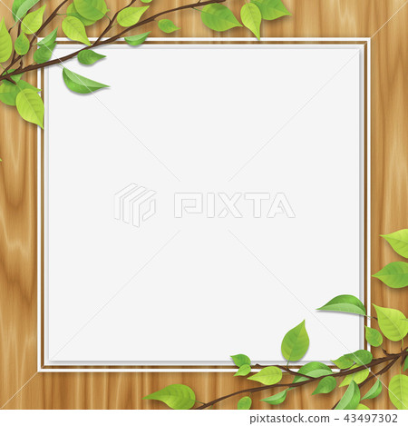 Fresh green leaves white space oak color wood grain Fresh green leaves white space oak color wood grain 43497302