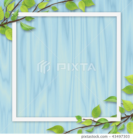 Fresh green leaves white frame blue wood grain 43497303