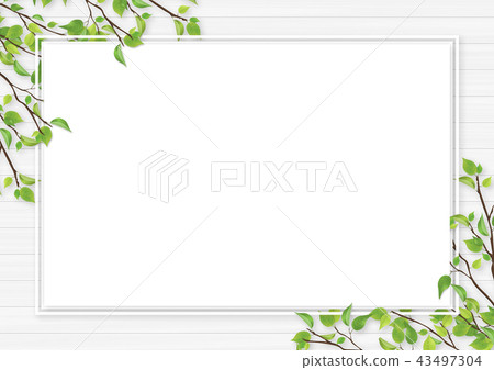 Fresh green leaves white frame white space Fresh green leaves white frame white space 43497304