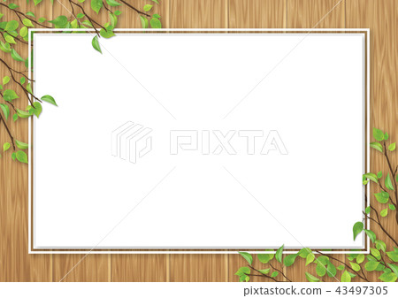 Fresh green leaves white space oak color wood grain Fresh green leaves white space oak color wood grain 43497305