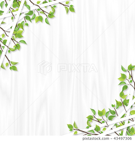 Fresh green line frame Shiraki 43497306