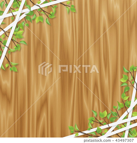 新鮮的綠線框架橡木 43497307