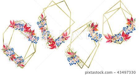 Watercolor red grapes leaves. Leaf plant botanical garden floral foliage. Isolated illustration 43497330