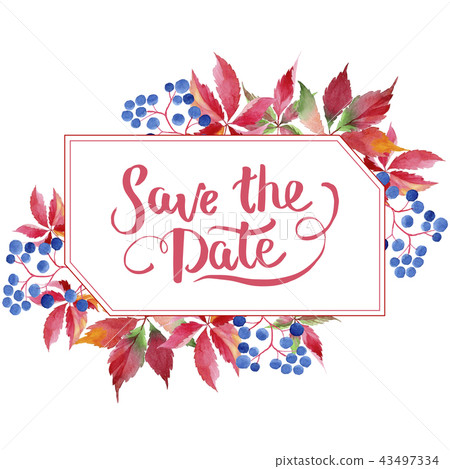Watercolor red grapes leaves. Leaf plant botanical garden floral foliage. Frame border ornament Watercolor red grapes leaves. Leaf plant botanical garden floral foliage. Frame border ornament 43497334