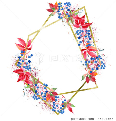 Watercolor red grapes leaves. Leaf plant botanical garden floral foliage. Isolated illustration 43497367