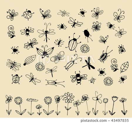 Insect sketch collection for your design Insect sketch collection for your design 43497835