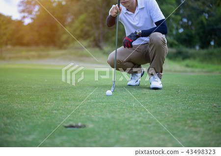 Golf player check line for putting golf ball Golf player check line for putting golf ball 43498323