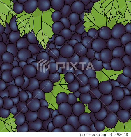 Seamless pattern with grapes. Seamless pattern with grapes. 43498648