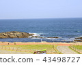 Sea 43498727