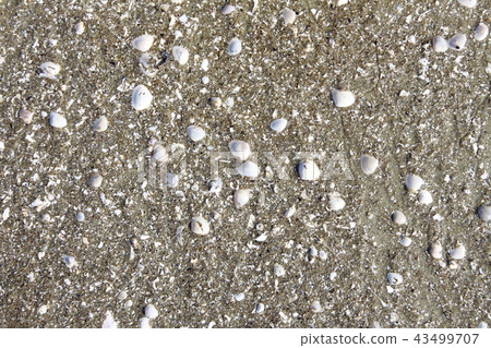 Sandy beach 43499707