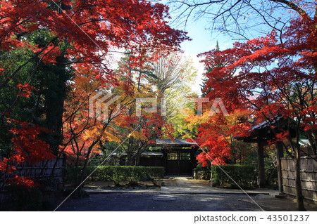 Hirin寺秋葉 照片素材 圖片 圖庫