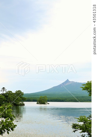 北海道Onumakoen 43501318