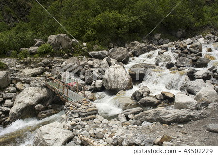 Small wooden bridge across a stream, Uttarakhand Small wooden bridge across a stream, Uttarakhand 43502229