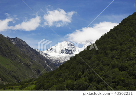 Snow capped mountain peak, Uttarakhand, India Snow capped mountain peak, Uttarakhand, India 43502231