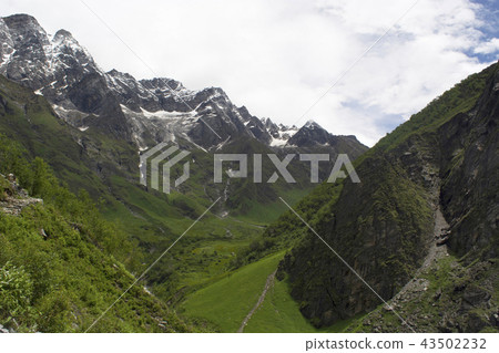 Valley of Flowers, Uttarakhand, India 43502232