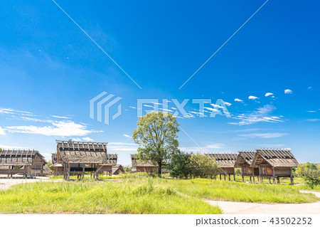 Yoshinogari Historical Park 43502252