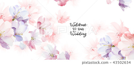 Elegant rose flower 43502634