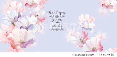 Elegant rose flower 43502640