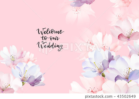 Elegant rose flower 43502649