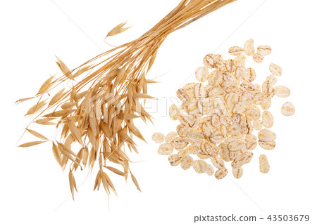 oat spike with oat flakes isolated on white background. Top view 43503679