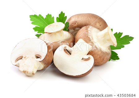 Royal Brown champignon with half and parsley leaf isolated on white background Royal Brown champignon with half and parsley leaf isolated on white background 43503684