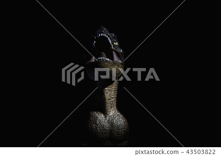 dinosaur 43503822