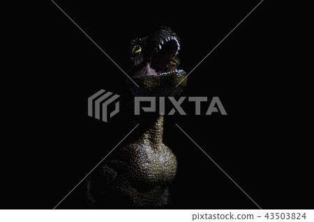 dinosaur 43503824