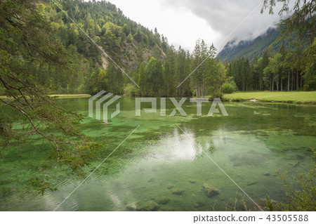 Schiederweiher, beautiful lake in Austria Schiederweiher, beautiful lake in Austria 43505588