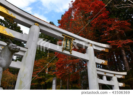 Sanmine寺廟秋葉 43506369