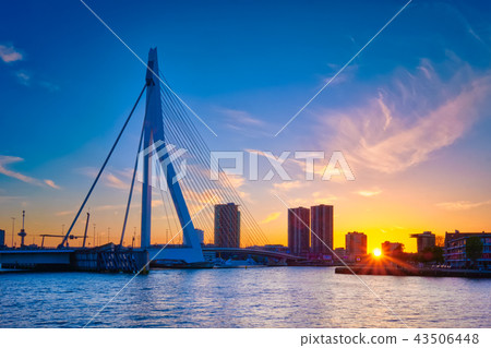 Erasmus Bridge on sunset, Rotterdam, Netherlands 43506448