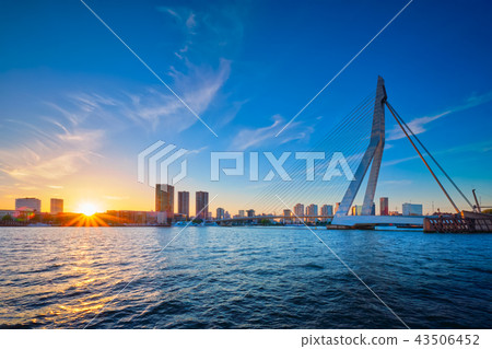 Erasmus Bridge on sunset, Rotterdam, Netherlands 43506452