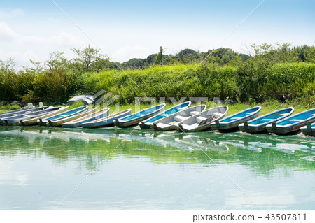 Landscape landscape 43507811