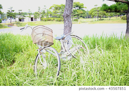 Abandoned bicycle 43507851