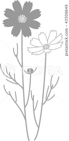 Cosmos autumn cherry tree 2 gray dark 43508649